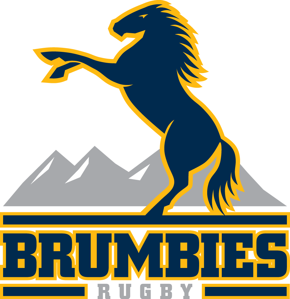 Brumbies 2005-Pres Primary Logo iron on transfers for clothing